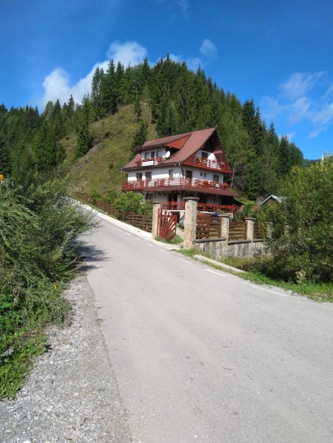 Pensiunea Roua Diminetilor Rusca  Экстерьер фото
